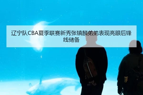 辽宁队CBA夏季联赛新秀张镇麟弟弟表现亮眼后锋线储备